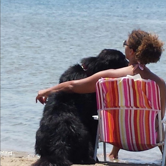 Meet your Posher, Darriea - Picture 3 of 4